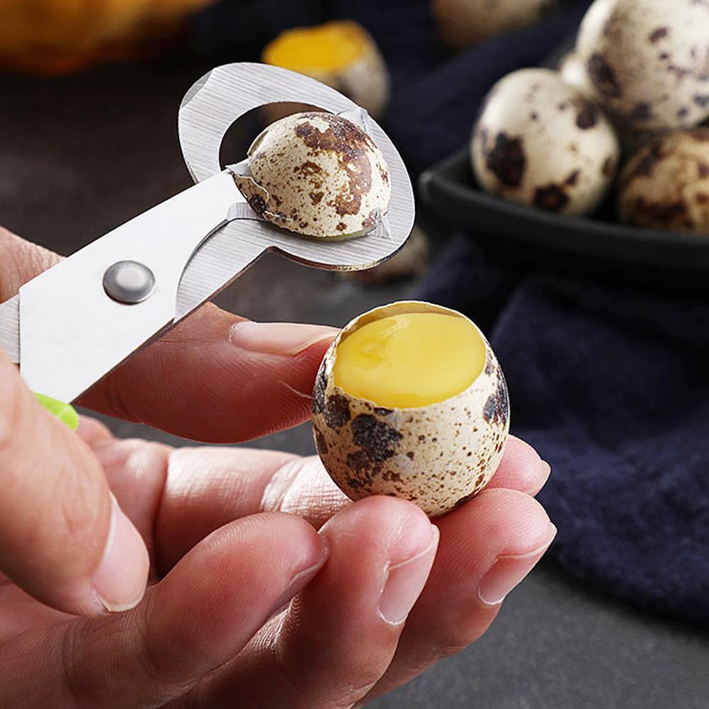 Egg Separator Tool - Alat pemisah cangkang telur burung, pemotong
